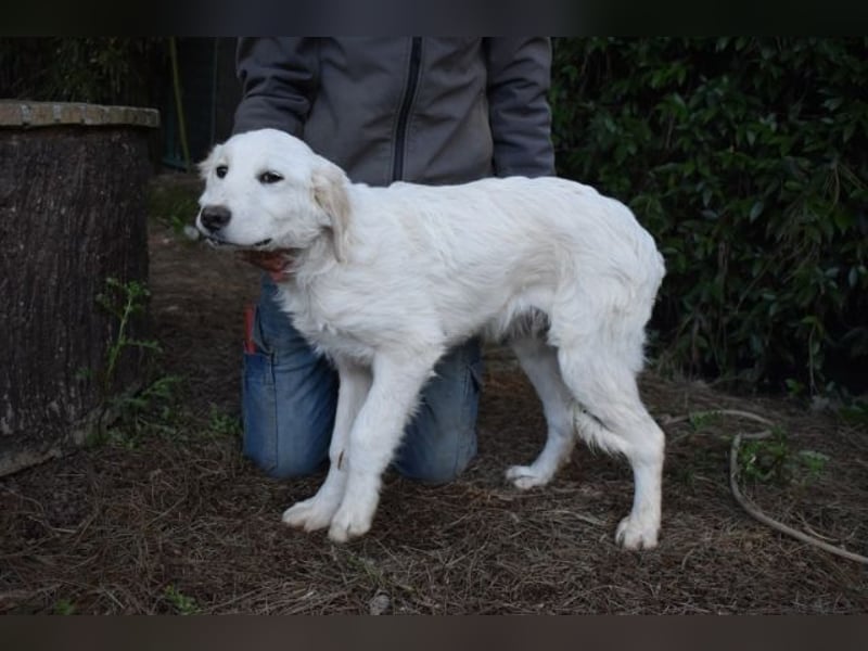 Stobin - So jung und so chancenlos ...