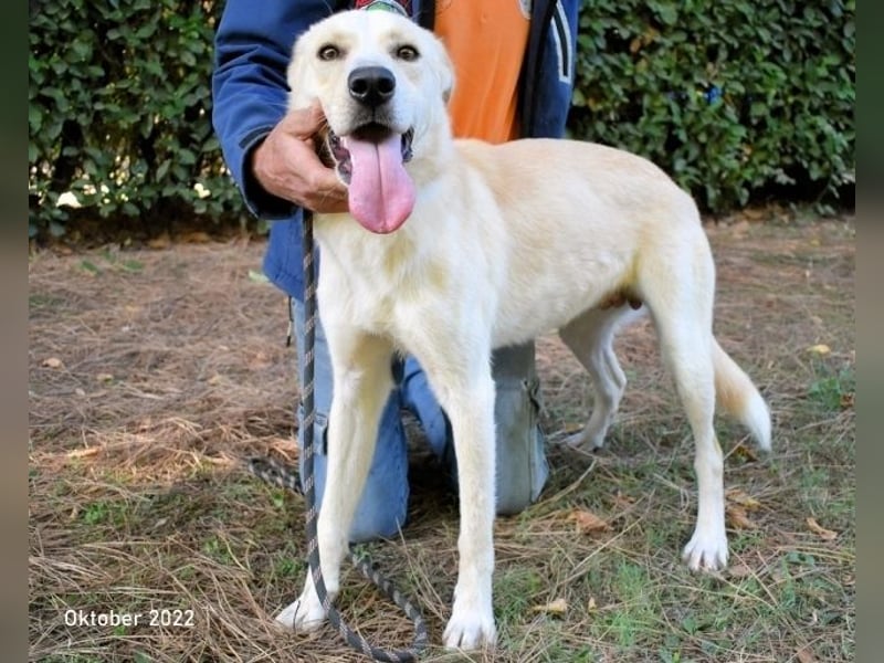 Admeto - Nur ein Wunsch: endlich nach Hause!