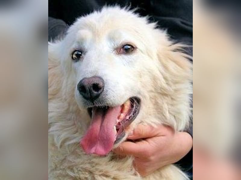 Alida - Unter dem Mantel der Verwahrlosung