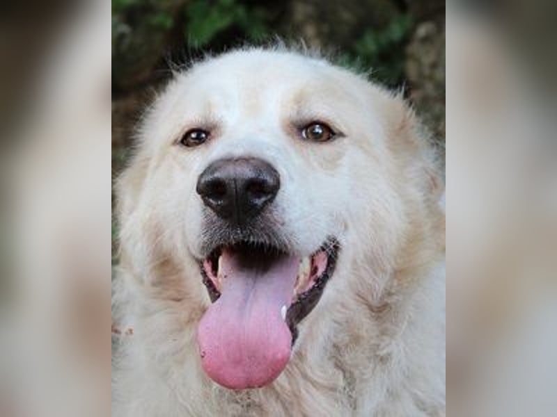 Papak - Nutze den Tag!