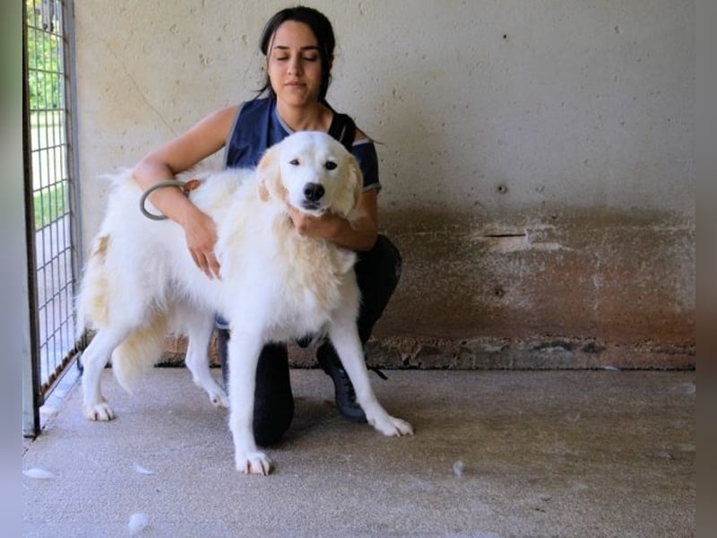 Kandie - Allein im Grau