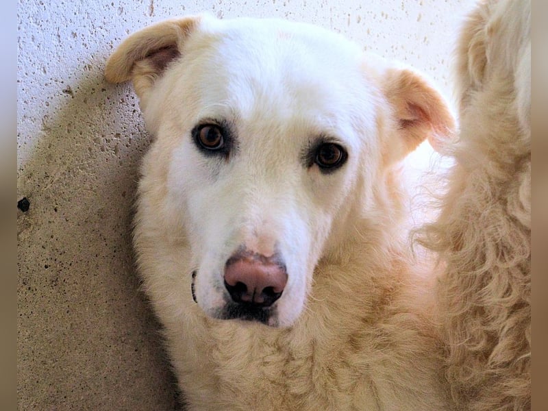 Vitale - "Komm, trau dich! Du kannst das!"