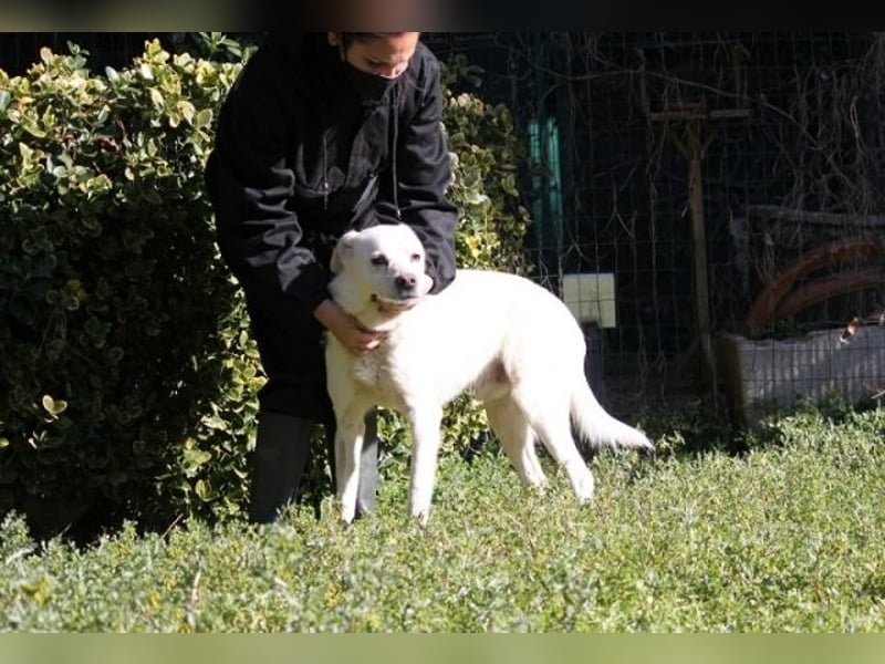 Talete - das Stehaufmännchen