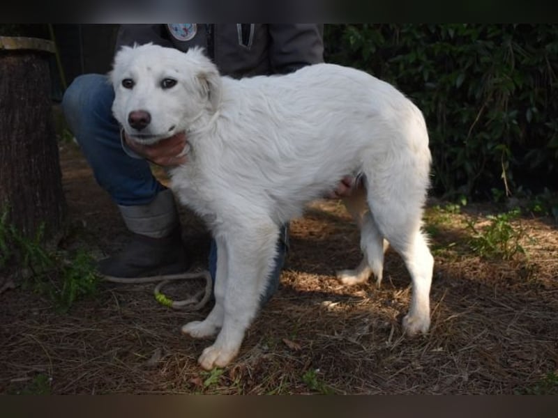 Saabira - So jung und so chancenlos ...