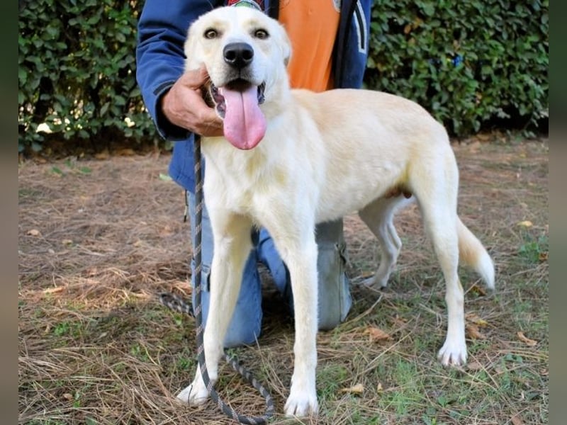 Admeto - Nur ein Wunsch: endlich nach Hause!