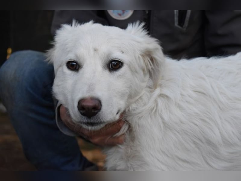 Saabira - So jung und so chancenlos ...