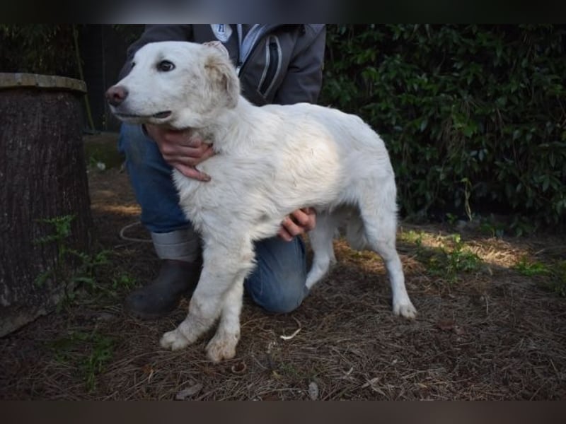 Sterling - So jung und so chancenlos ...