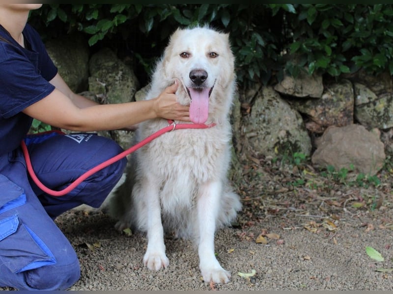 Papak - Nutze den Tag!