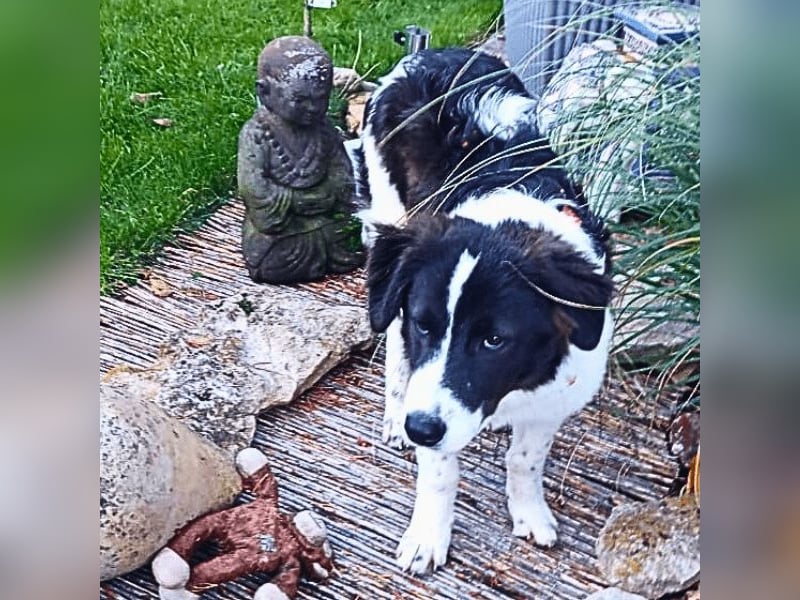 Uriel -  Zeigst du mir den Weg?