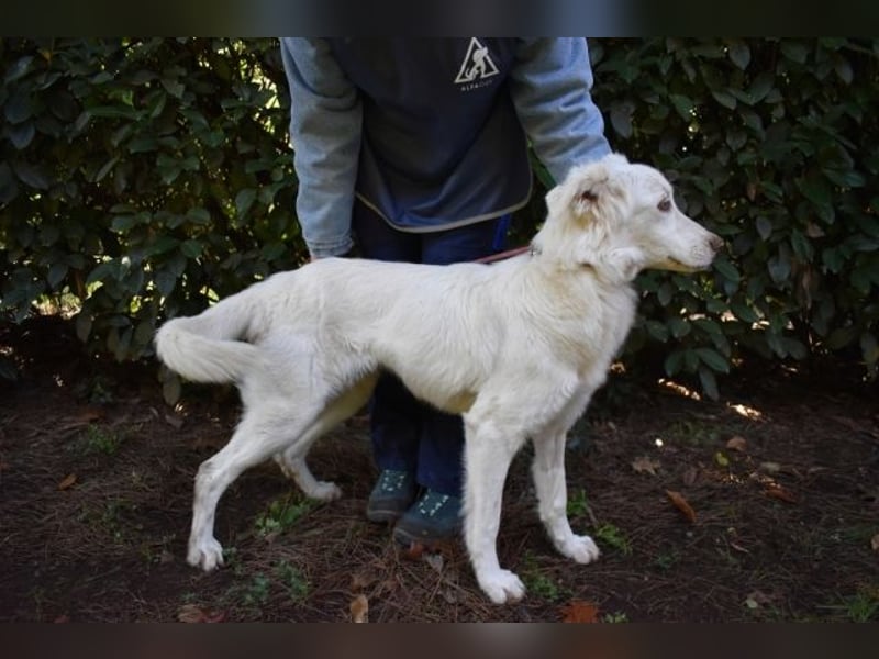 Thulin - Eigentlich ist ja alles da...