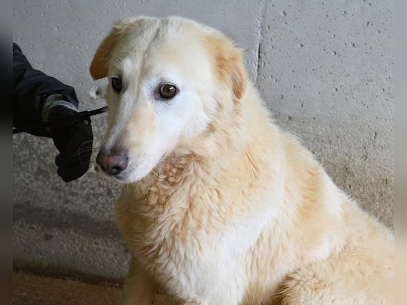 Frieder - Gibt es ein Leben jenseits von Schmerz und Einsamkeit?