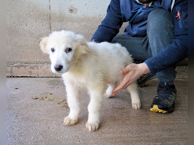 Calira - SOS - Weiß jemand, was aufpassen eigentlich heißt?