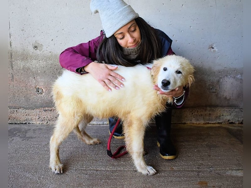 Cairox - SOS - Weiß jemand, was aufpassen eigentlich heißt?