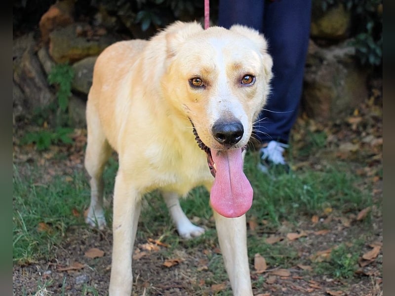 Admeto - Nur ein Wunsch: endlich nach Hause!