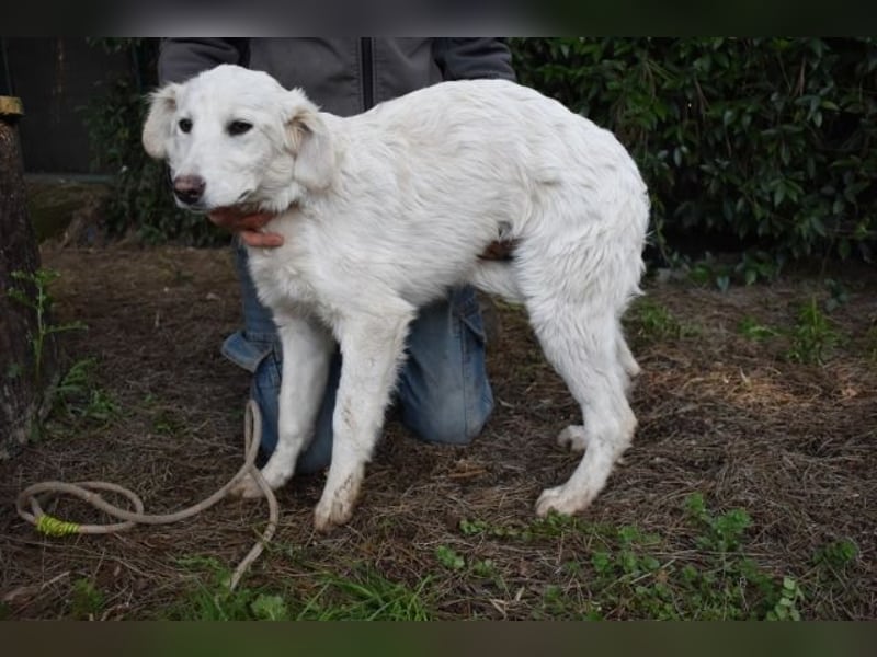 Solitelle - So jung und so chancenlos ...