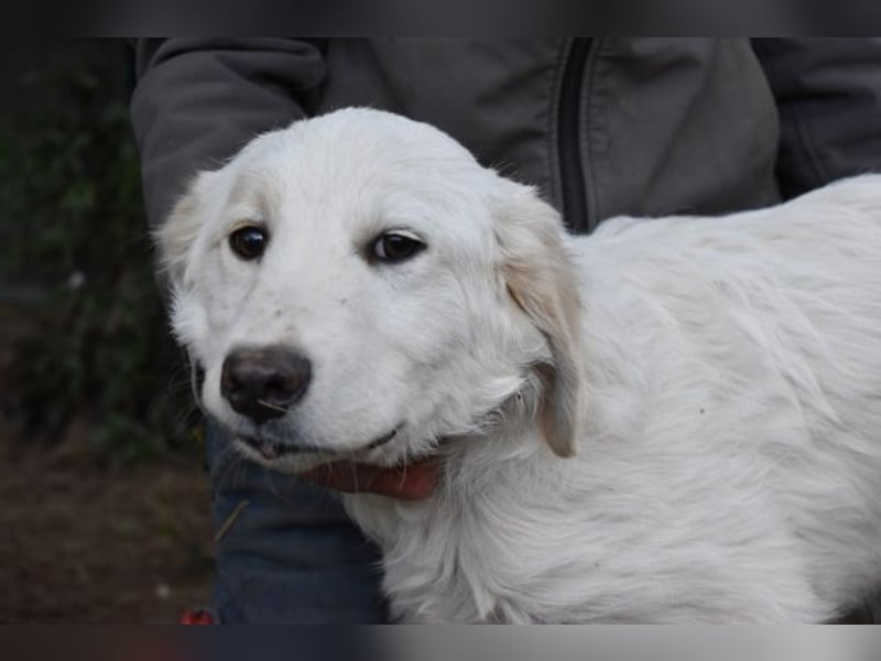 Stobin - So jung und so chancenlos ...