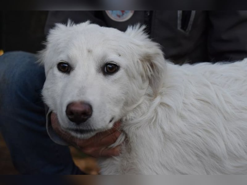 Saabira - So jung und so chancenlos ...