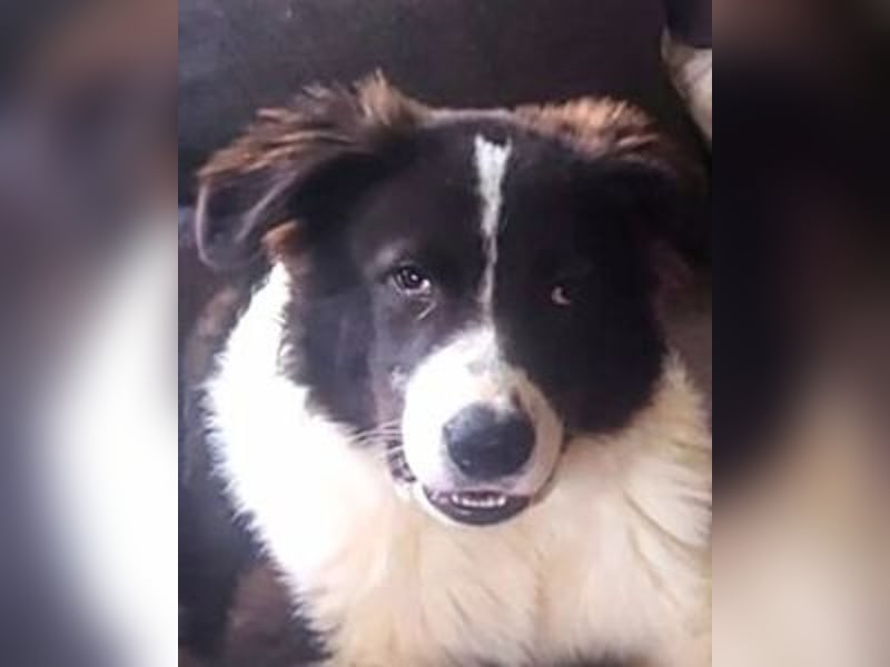 Uriel -  Zeigst du mir den Weg?