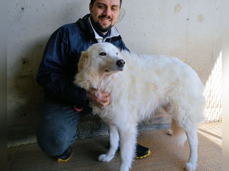 Wania - Zur falschen Zeit am falschen Ort...