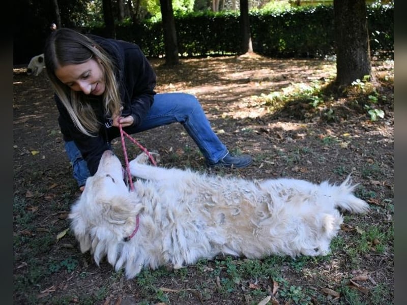 Hadeus - Wovon träumst du?