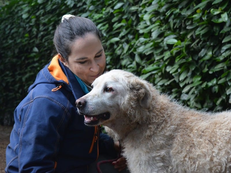 Generosa - Ein Adler bleibt ein Adler...