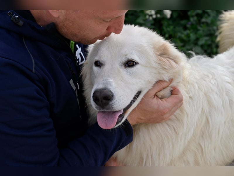 Garth - Kannst du machen, dass es nicht so lange dauert?