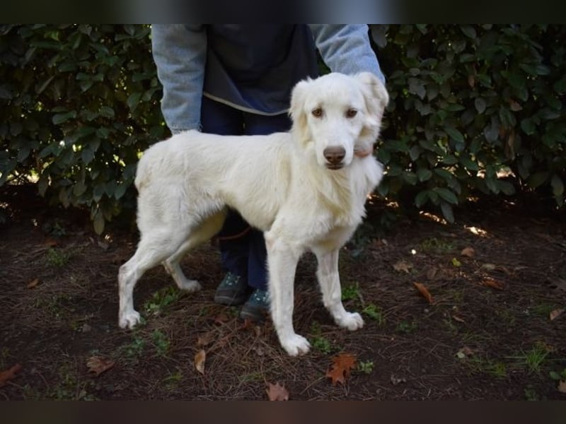 Thulin - Eigentlich ist ja alles da...