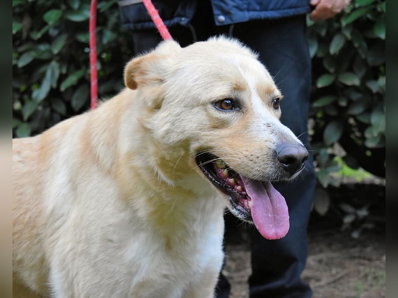 Admeto - Nur ein Wunsch: endlich nach Hause!