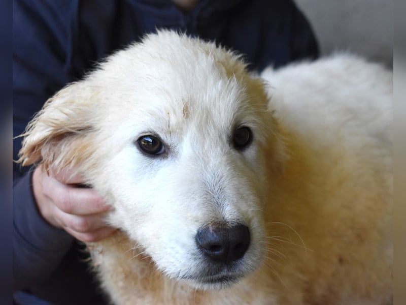 Clyro - SOS - Weiß jemand, was aufpassen eigentlich heißt ?