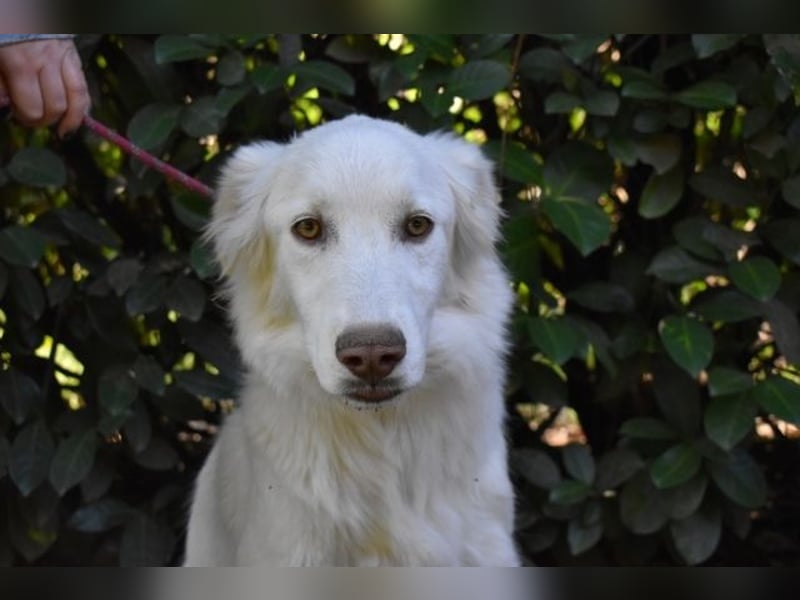 Thulin - Eigentlich ist ja alles da...