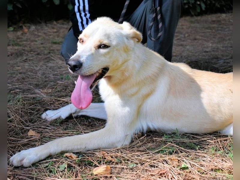 Admeto - Nur ein Wunsch: endlich nach Hause!