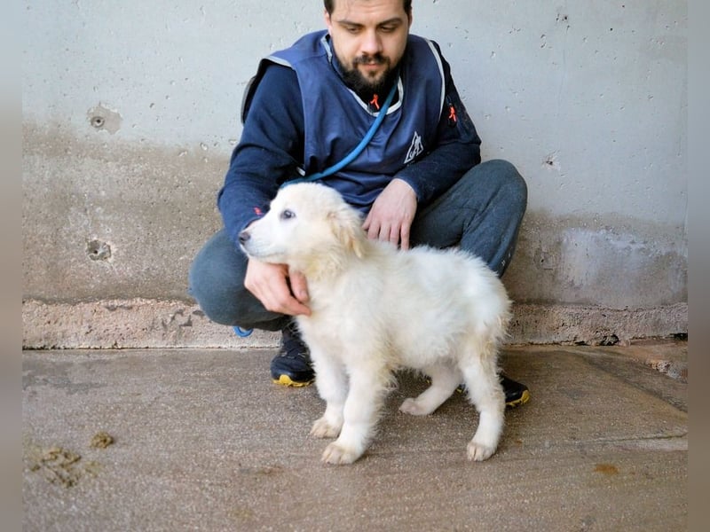 Calira - SOS - Weiß jemand, was aufpassen eigentlich heißt?