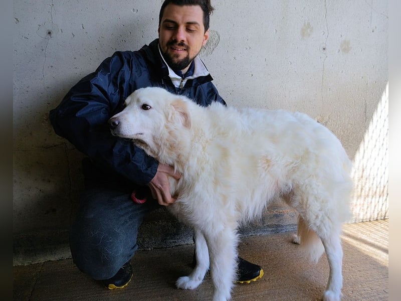 Wania - Zur falschen Zeit am falschen Ort...