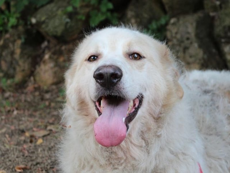 Papak - Nutze den Tag!