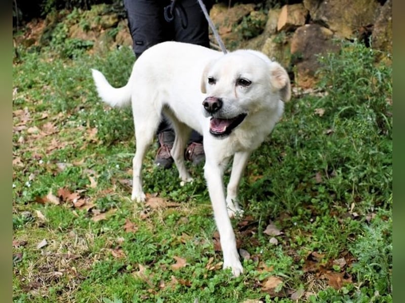 Talete - das Stehaufmännchen