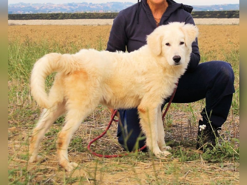 Garth - Kannst du machen, dass es nicht so lange dauert?
