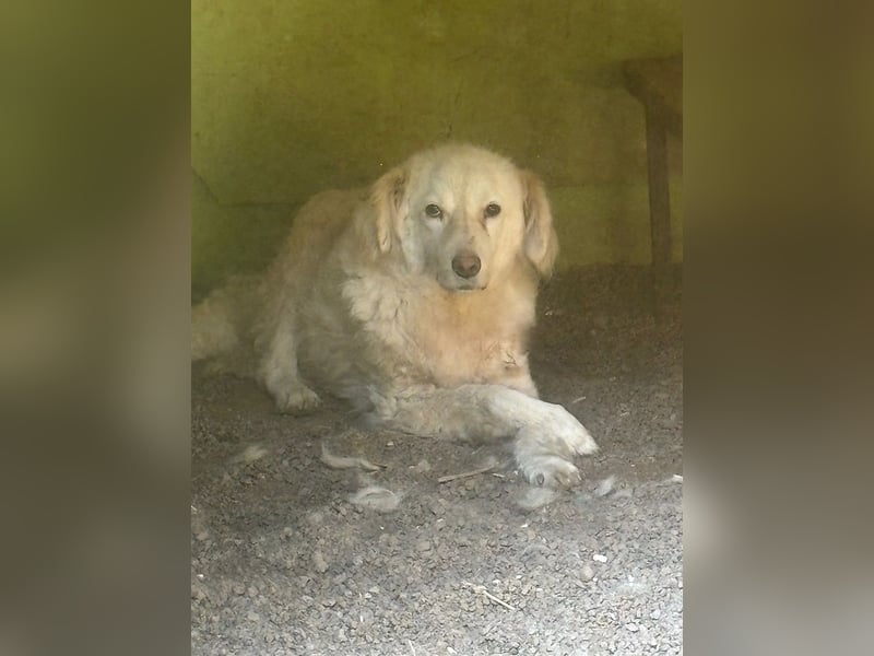 Graciela - NOTFALL - Was hatte sie schon...