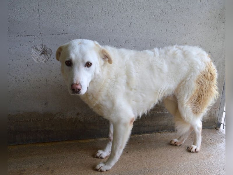 Vitale - "Komm, trau dich! Du kannst das!" Vitale - "Komm, trau dich! Du kannst das!"