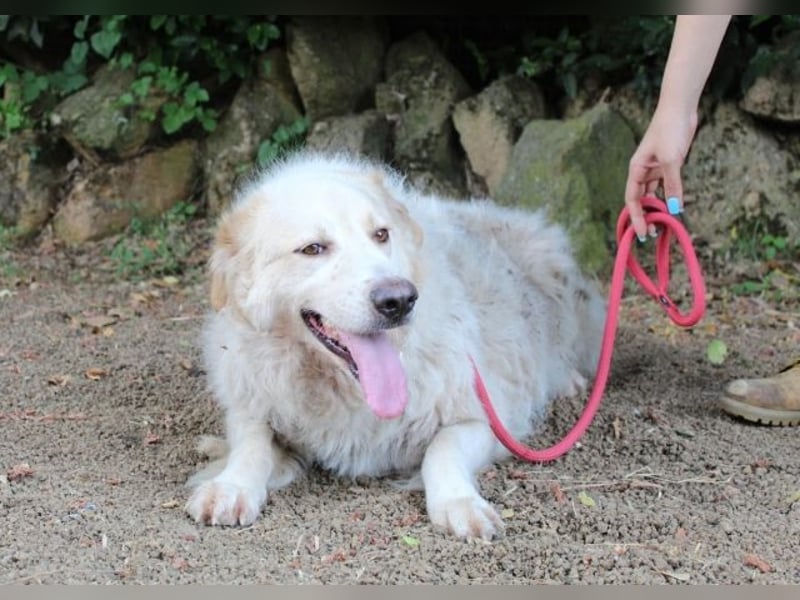 Papak - Nutze den Tag!