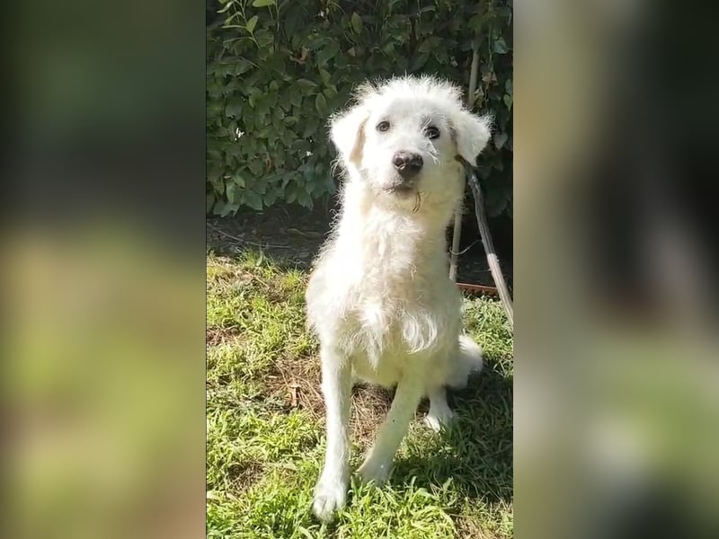 Cindra - NOTFALL -  Du würdest, wenn Du wüsstest....