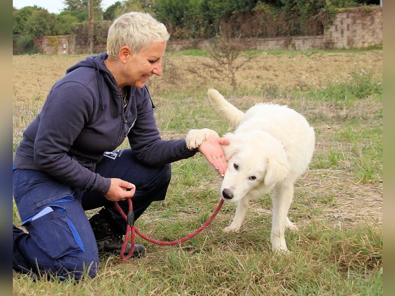 Garth - Kannst du machen, dass es nicht so lange dauert?