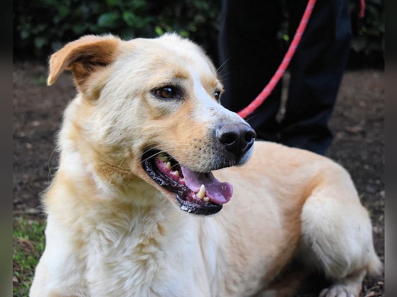 Admeto - Nur ein Wunsch: endlich nach Hause!