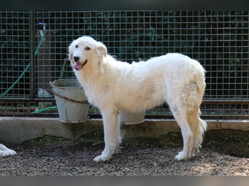 Alida - Unter dem Mantel der Verwahrlosung