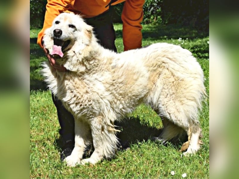 Alida - Unter dem Mantel der Verwahrlosung