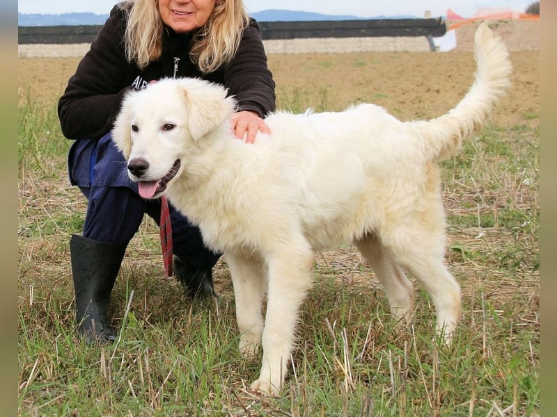 Garth - Kannst du machen, dass es nicht so lange dauert?