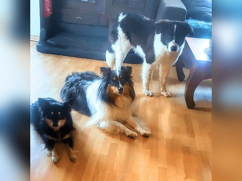 Uriel -  Zeigst du mir den Weg?