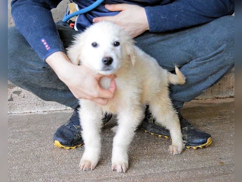 Cilwen - SOS - Weiß jemand, was aufpassen eigentlich heißt ?