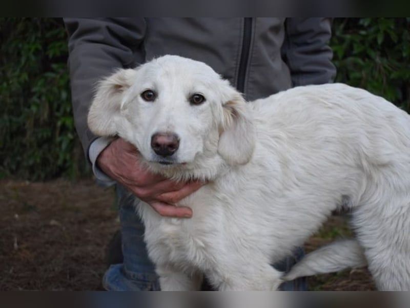 Solitelle - So jung und so chancenlos ...