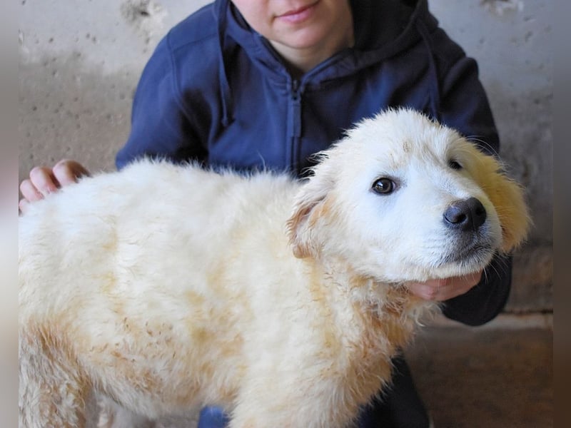 Clyro - SOS - Weiß jemand, was aufpassen eigentlich heißt ?