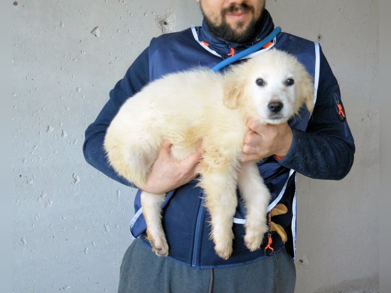 Cilwen - SOS - Weiß jemand, was aufpassen eigentlich heißt ?